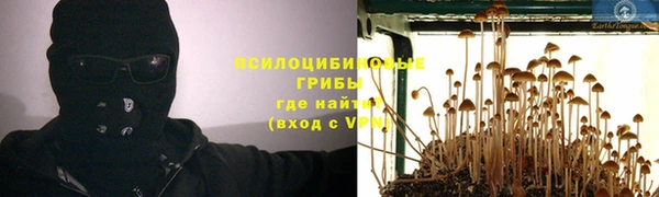 хмурый Карпинск