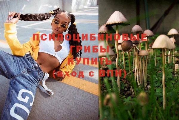 молекула духа Киренск