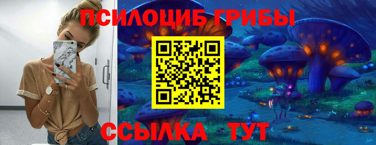 Галлюциногенные грибы Psilocybe  Вход с VPN  Среднеуральск 